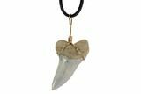 Fossil Mako Tooth Necklace - Bakersfield, California #95262-1